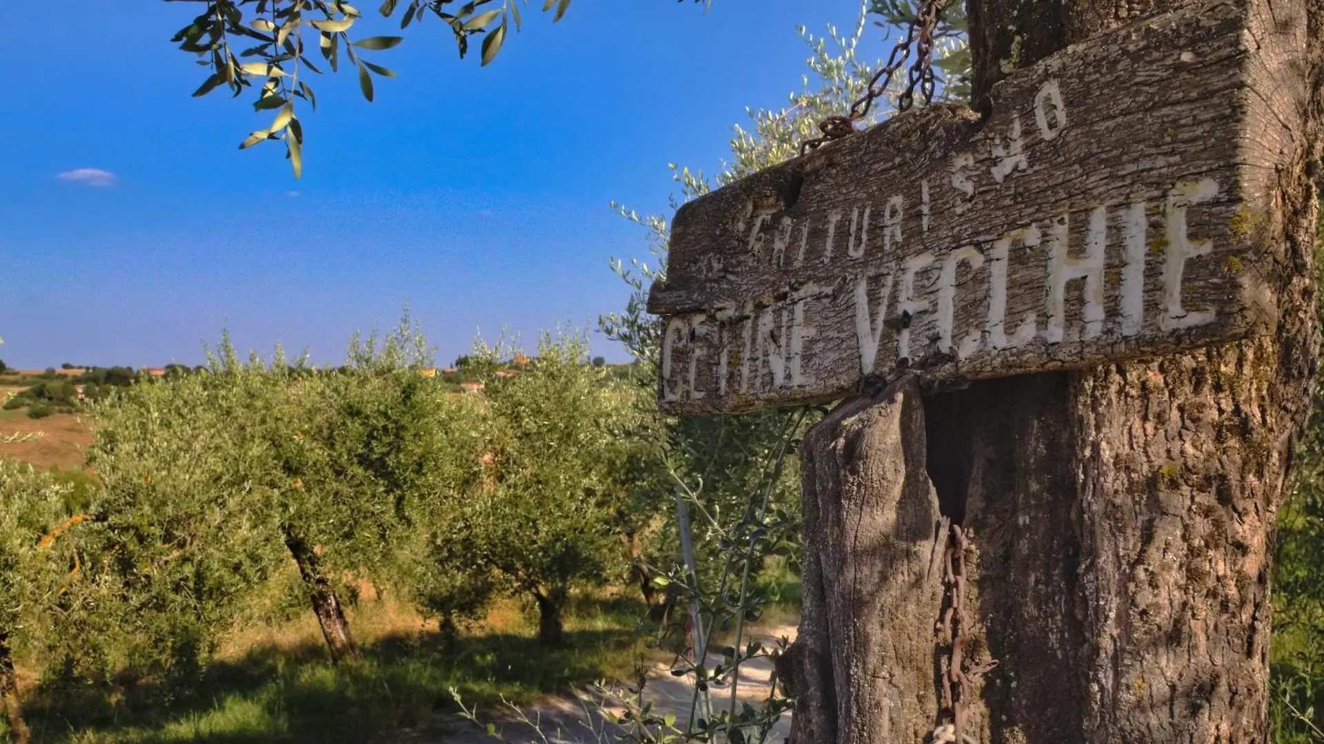 Cetine Vecchie Villa Torrita di Siena