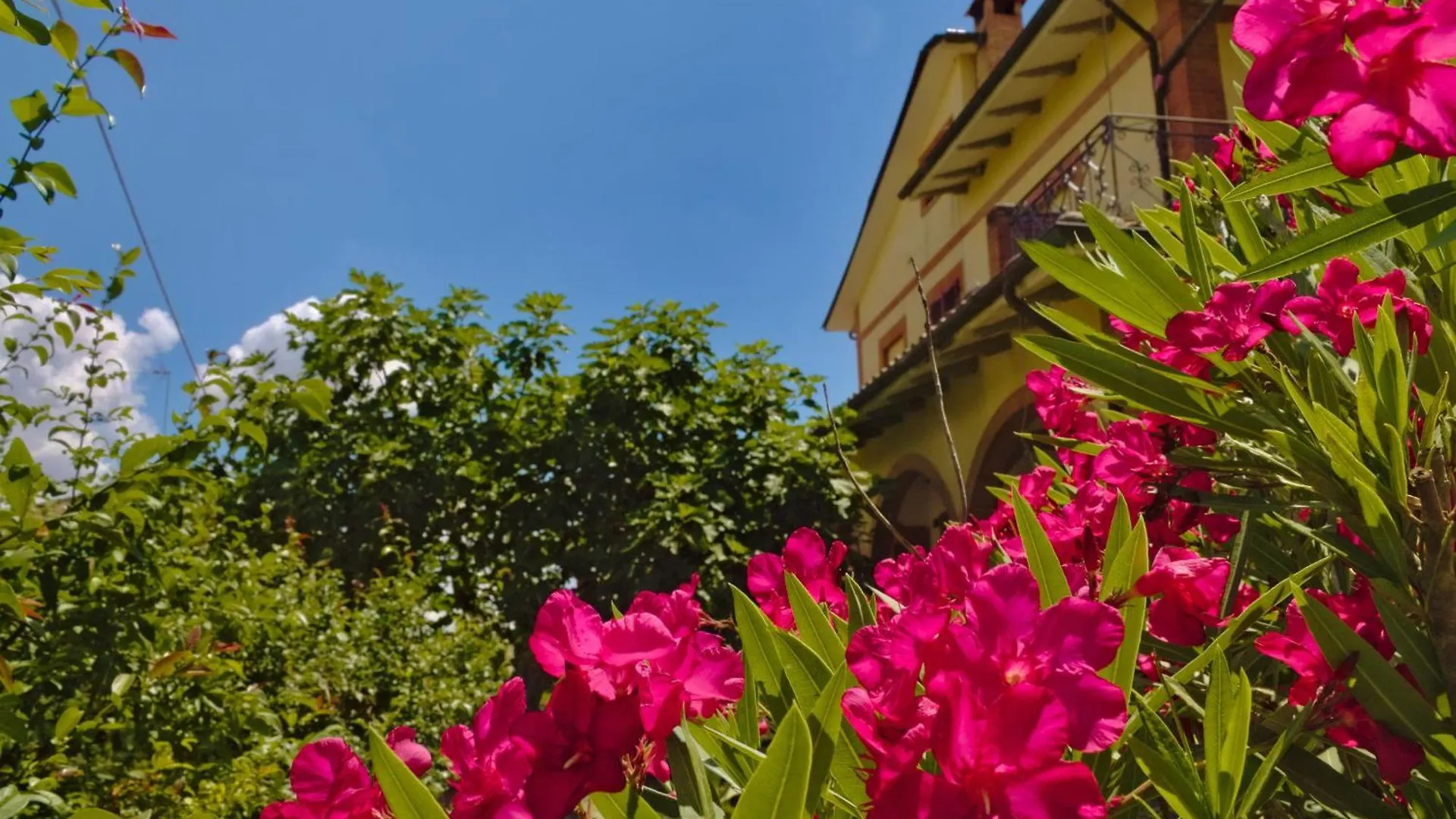Farm stay Cetine Vecchie Villa Torrita di Siena